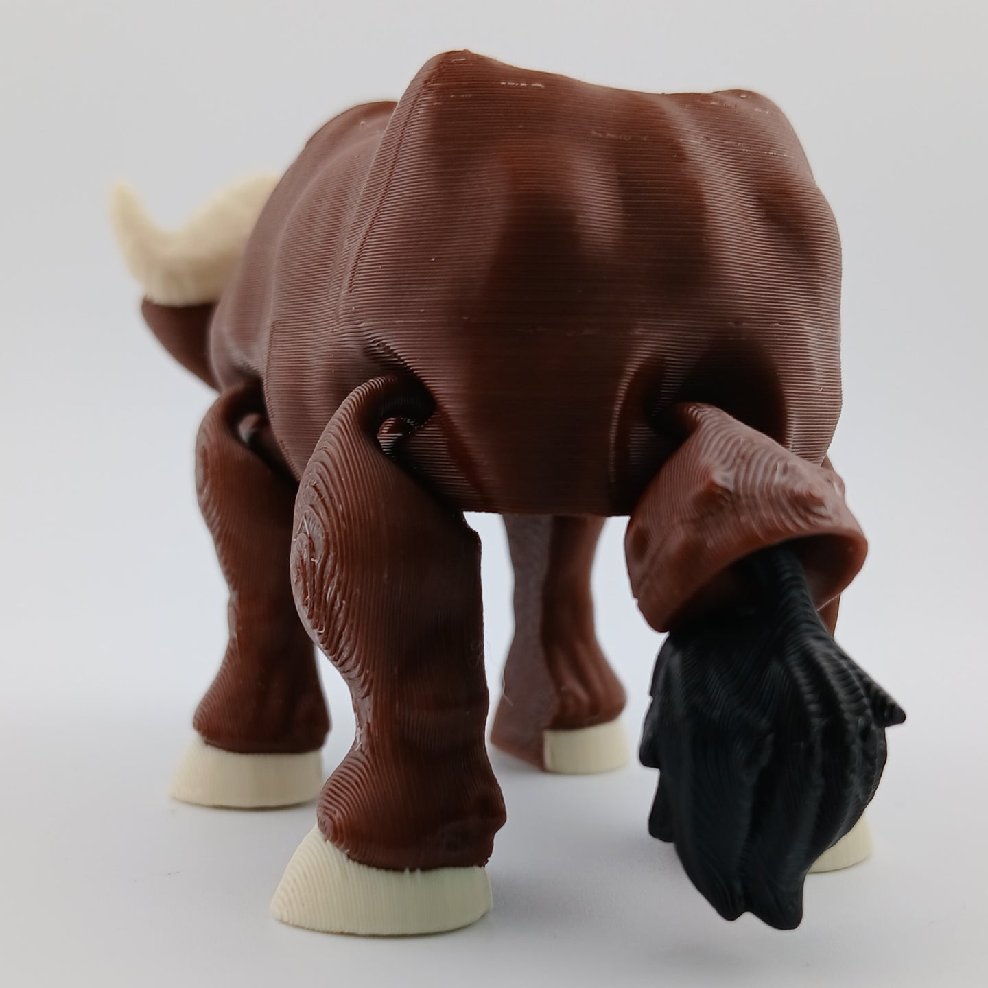Water Buffalo
